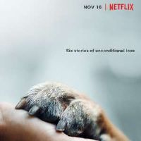 ��Ȯ����