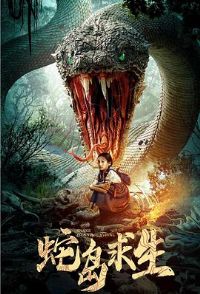 �ߵ�����