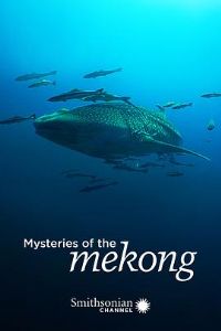 �ع���֮��