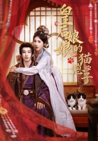 �ʺ������è����