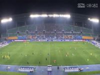 �г����� ��֧ͨ��VS������ʨ 20240521